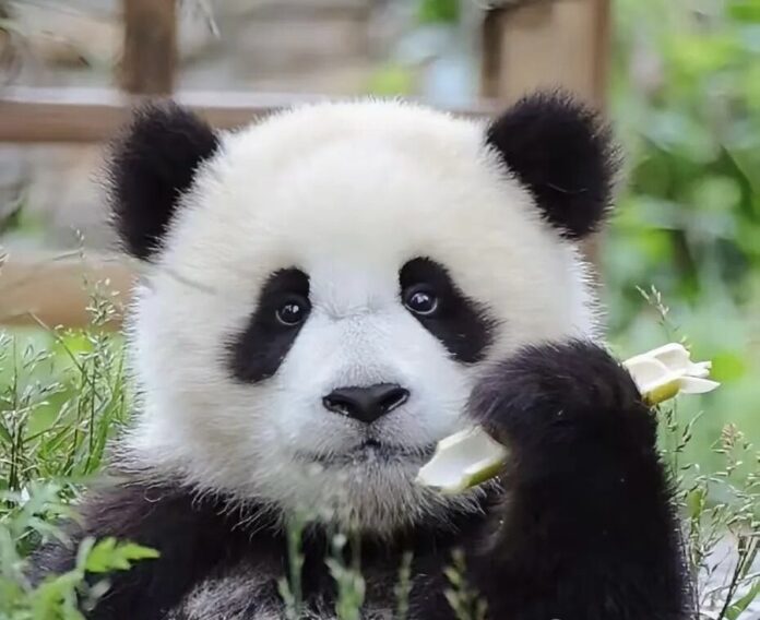 image - 2025-09-16T082625.131