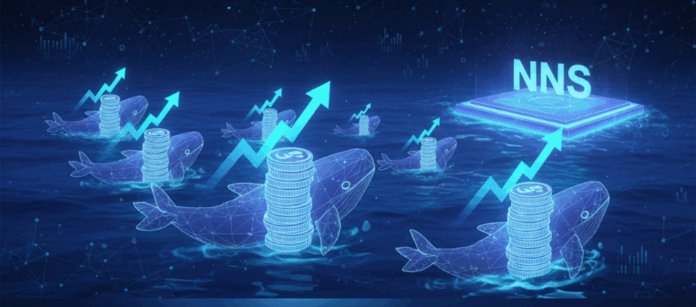 image - 2025-10-02T120850.320