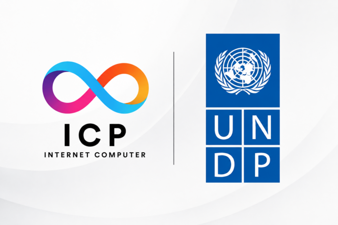 icp undp